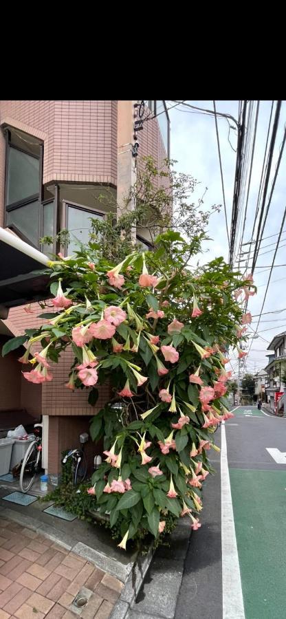Apartmán 東洋の家-26 Square Meter Treadmi Garden House Prefektura Tokio Exteriér fotografie