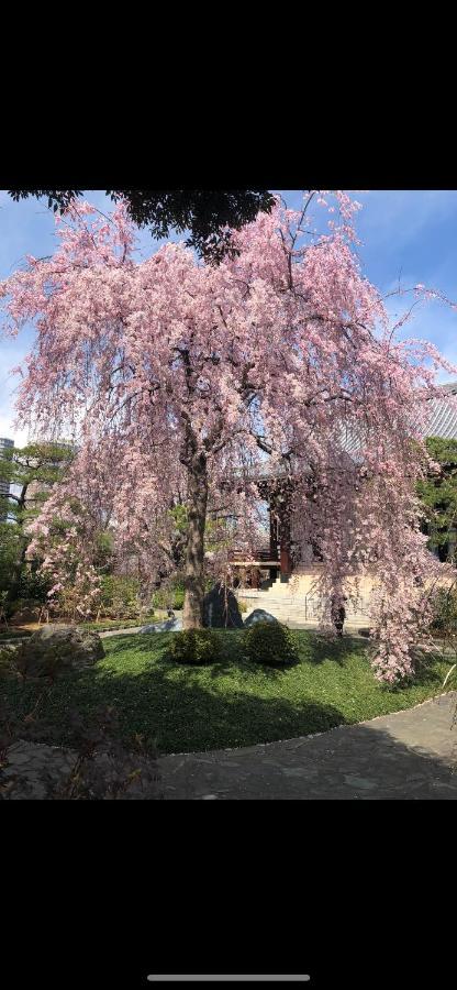 Apartmán 東洋の家-26 Square Meter Treadmi Garden House Prefektura Tokio Exteriér fotografie